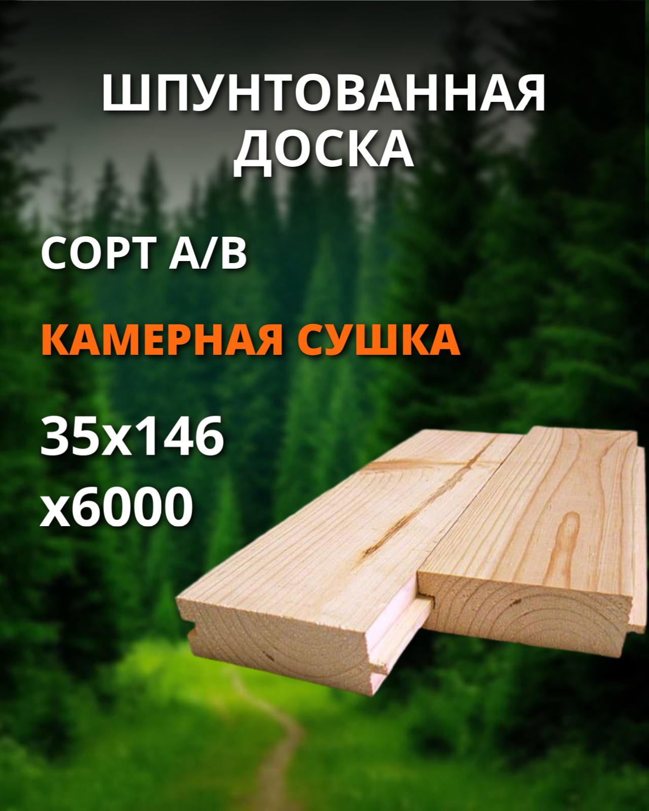 Шпунт хвоя сорт А/В - 35x146x6000 1 шт