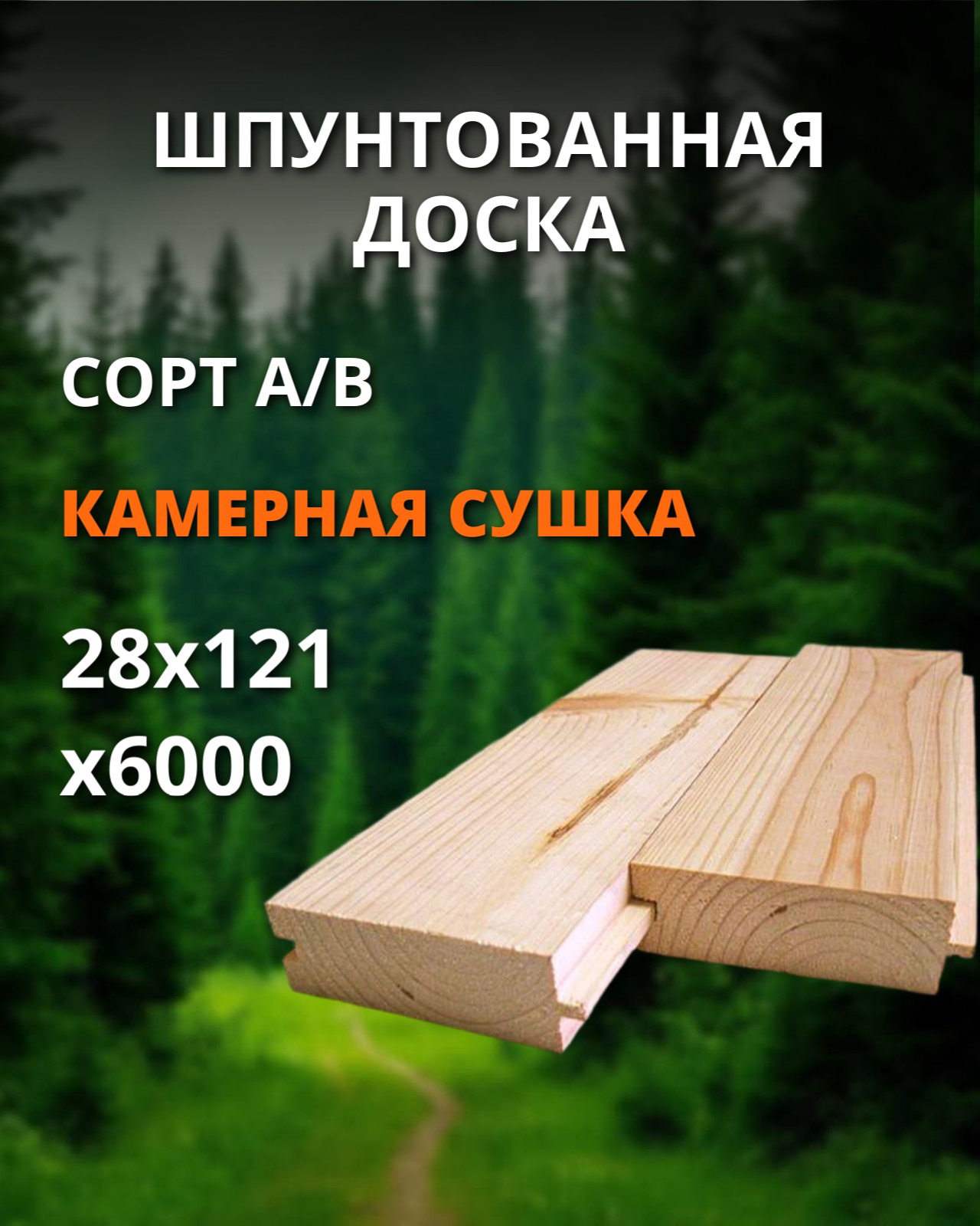 Шпунт хвоя сорт А/В - 28x121x6000 1 шт